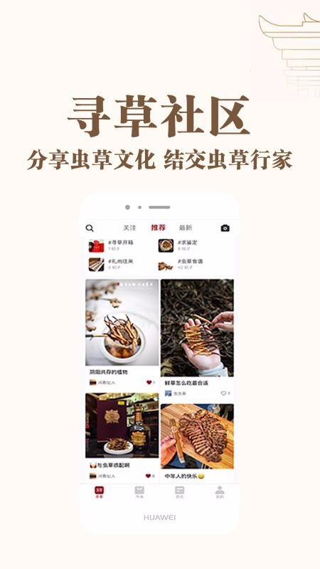 寻草
