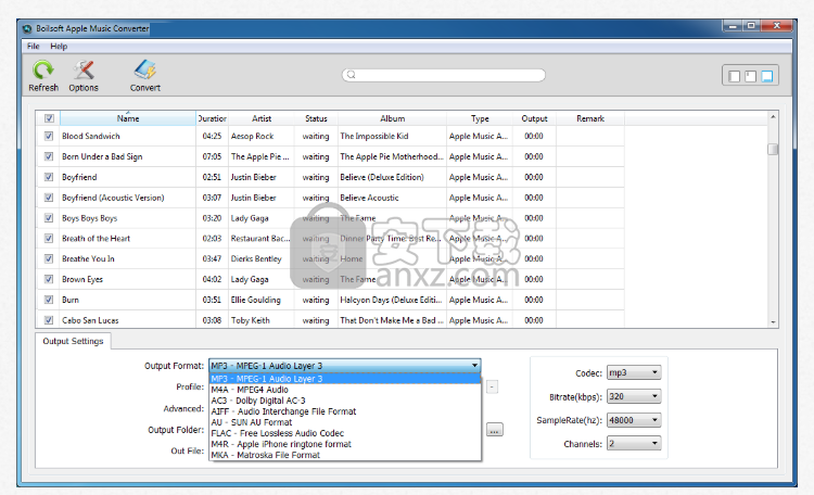 Boilsoft Apple Music Converter(Apple音乐转换器)