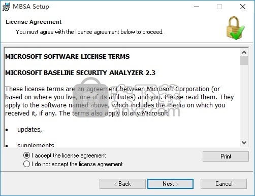 Baseline Security Analyzer(网络安全性管理评估与增强功能)