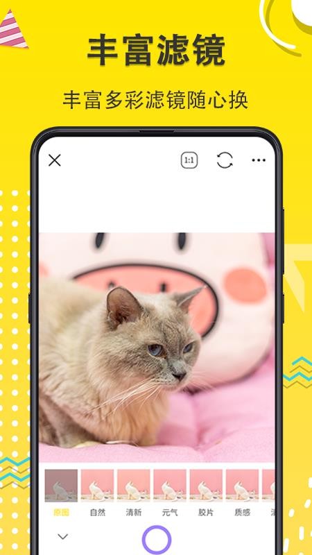 猫狗成长记录相机