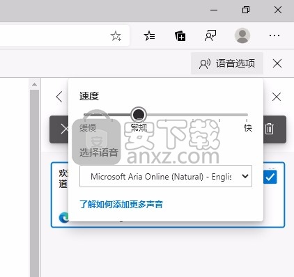 Microsoft Edge Dev(Chromium Edge开发版)