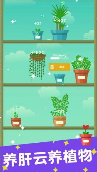植物日记