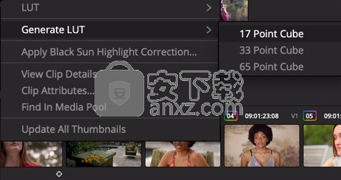 davinci resolve