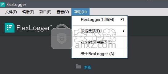 flexlogger 2020 r4.1补丁