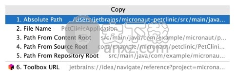 webstorm2020.2.1永久