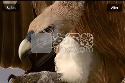topaz gigapixel ai5.2.3