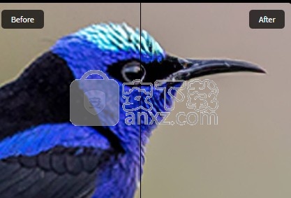 topaz gigapixel ai5.2.3