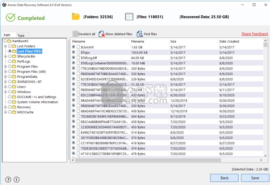 Amrev Data Recovery(硬盘数据恢复软件)