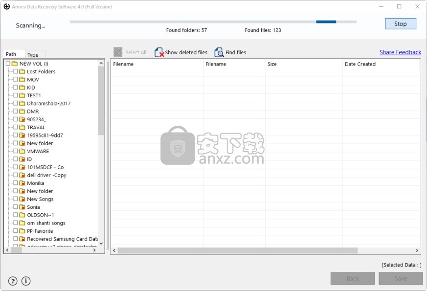 Amrev Data Recovery(硬盘数据恢复软件)