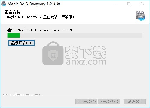 Magic RAID Recovery