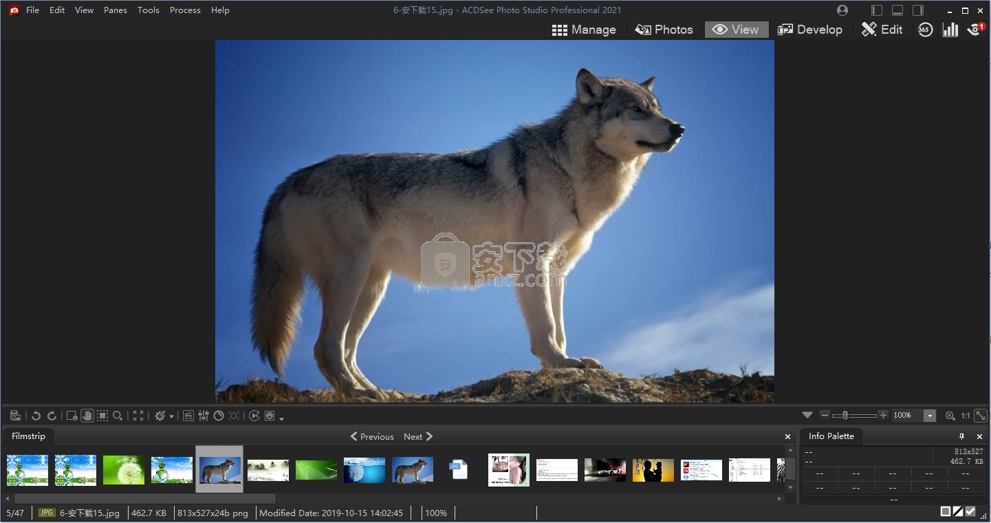 ACDSee Photo Studio Professional 2021补丁
