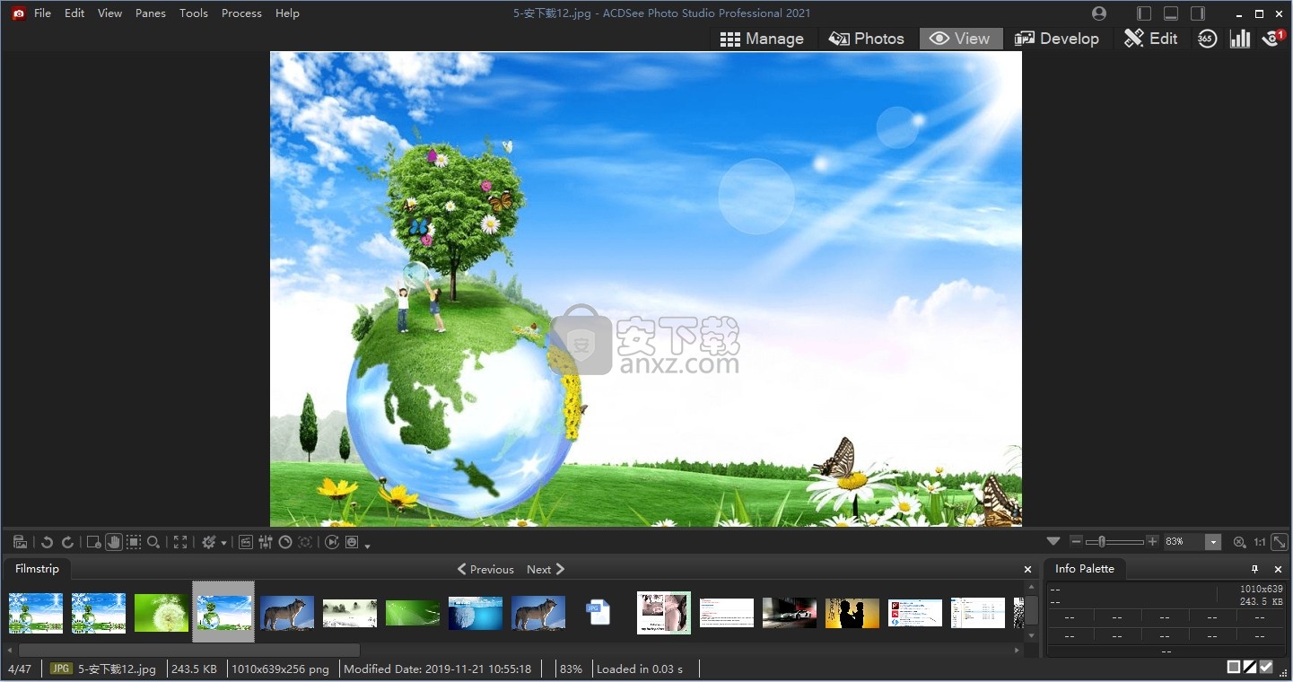 ACDSee Photo Studio Professional 2021补丁