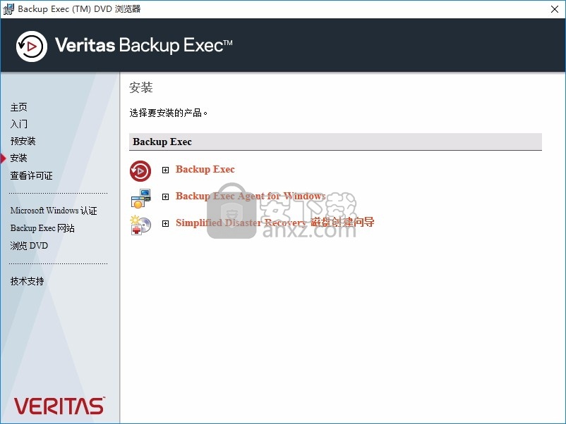 Veritas Backup Exec(多功能数据文件保护软件)