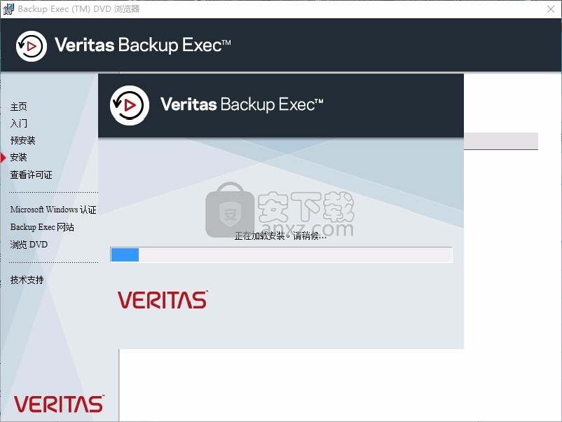 Veritas Backup Exec(多功能数据文件保护软件)