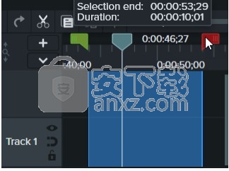 camtasia studio2020绿色
