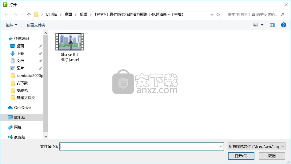 camtasia studio2020绿色