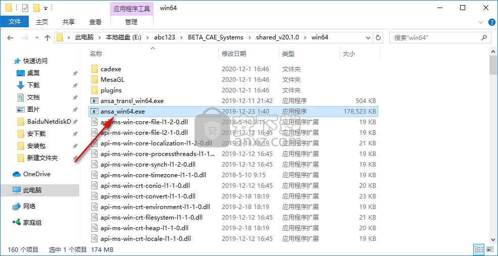 beta cae systems v20 64位