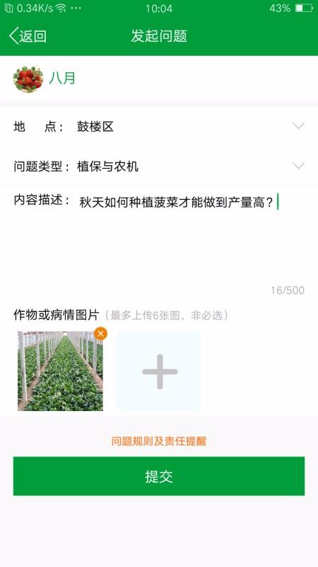 布谷声声