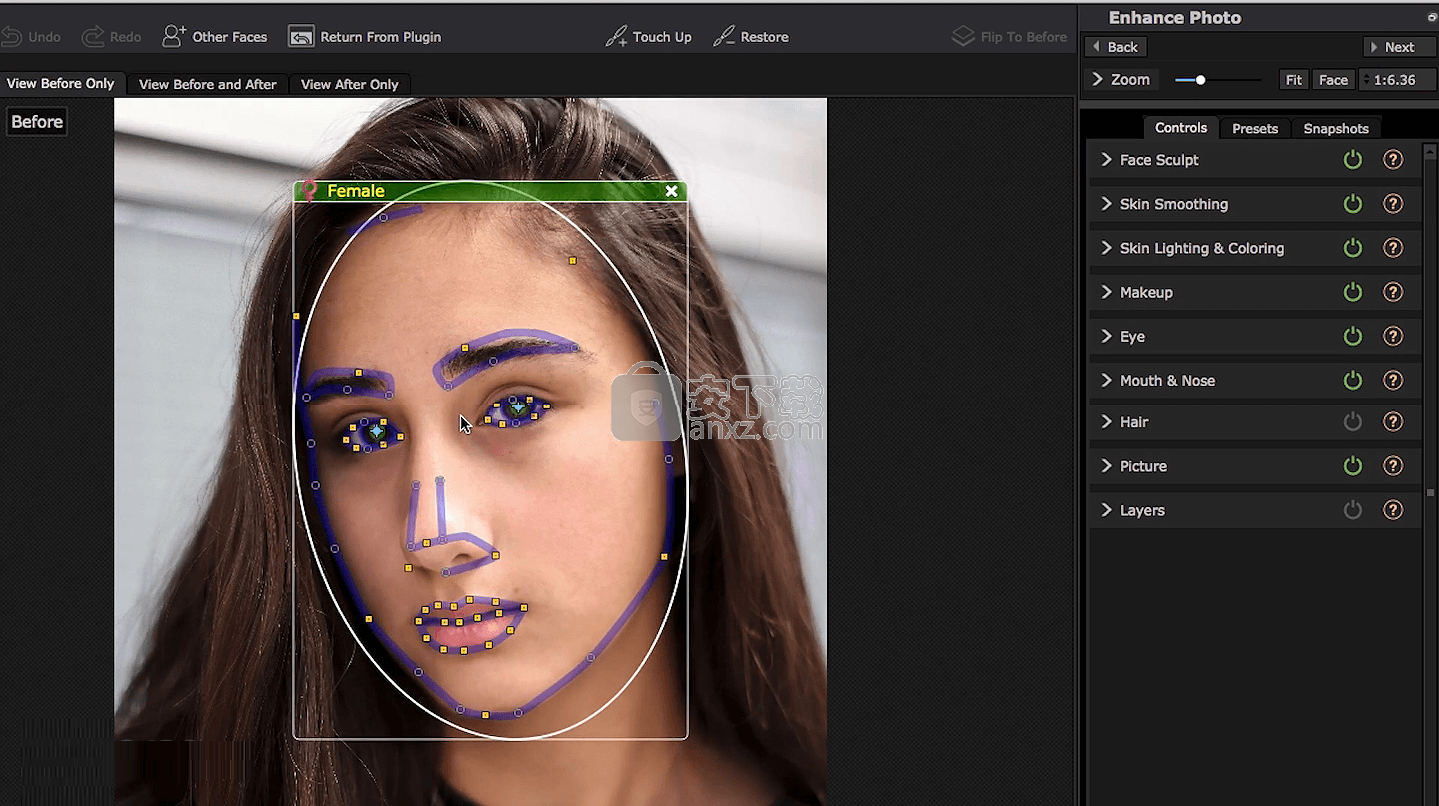 portrait professional 21 portrait professional 21