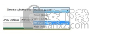 RIOT Optimizer(多功能RIOT图像优化器)