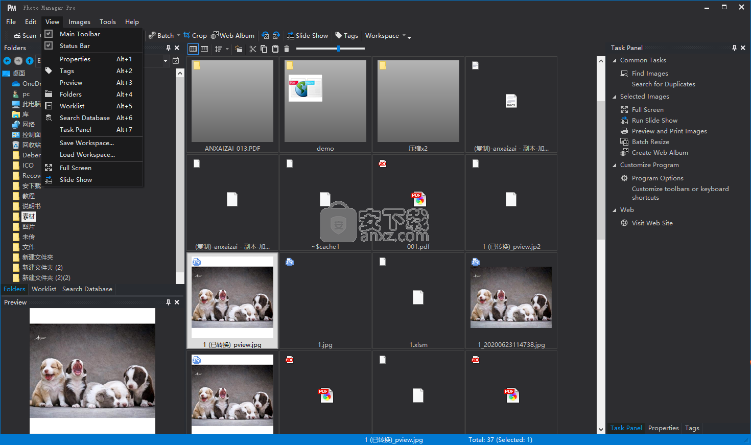 Photo Manager Pro(照片管理软件)