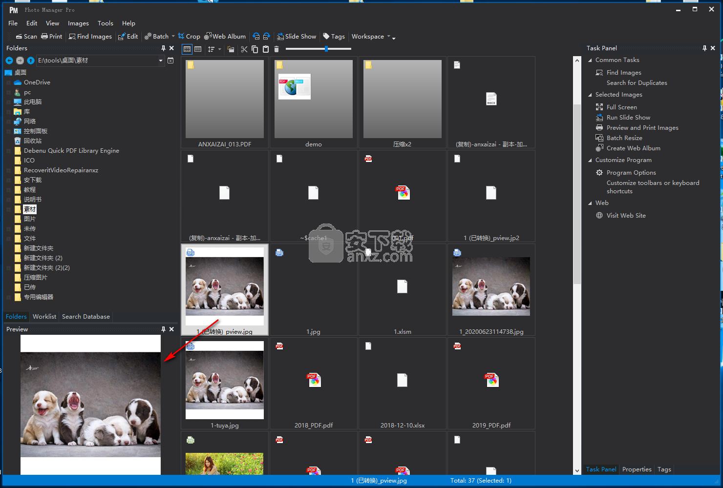 Photo Manager Pro(照片管理软件)