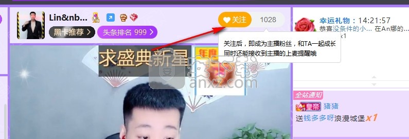 齐齐live直播助手