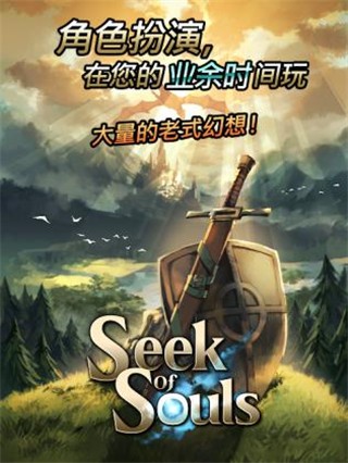 寻找灵魂：自由冒险