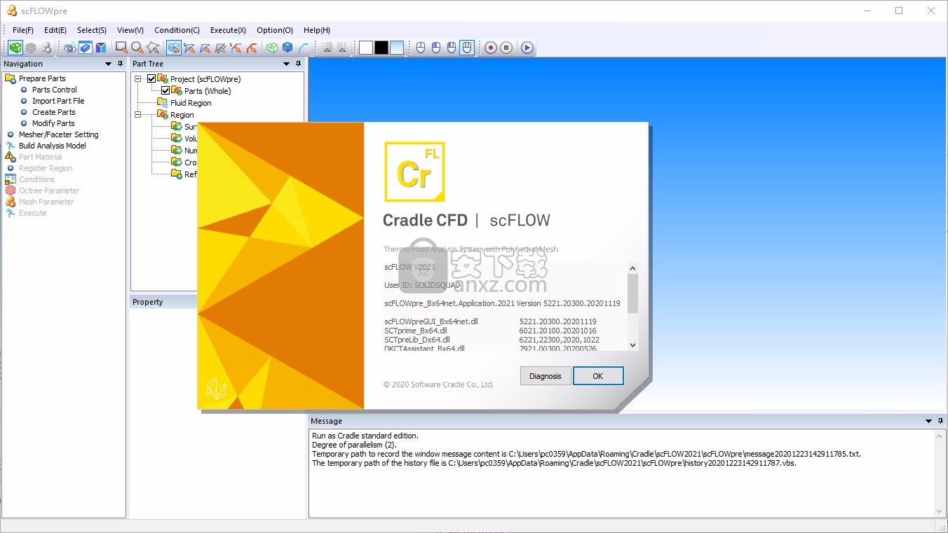Cradle CFD 2021文件
