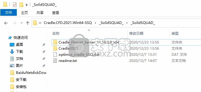 Cradle CFD 2021文件