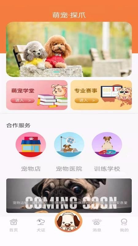 探爪贵阳手机游戏app开发