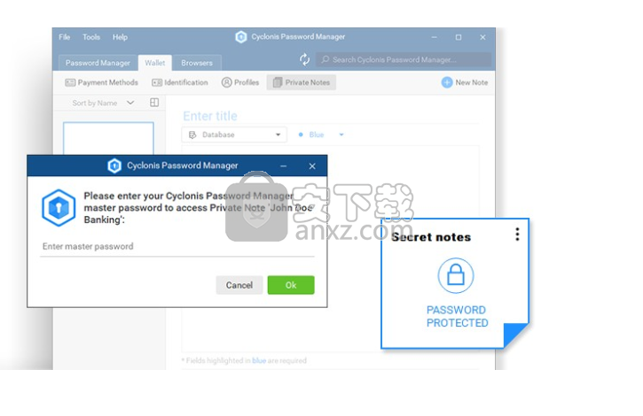 Cyclonis Password Manager(密码管理软件)