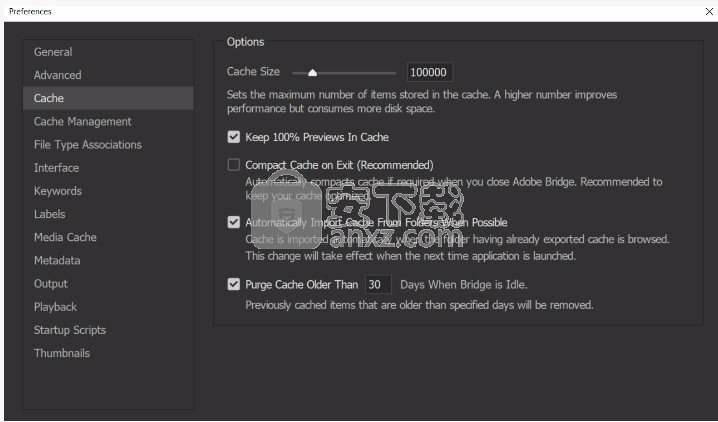 Adobe Bridge cs6绿色中文版