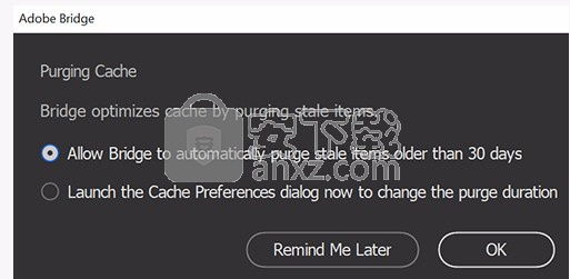 Adobe Bridge cs6绿色中文版