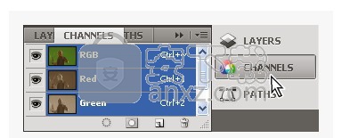 illustrator cc 2019(矢量图形设计工)
