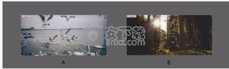 illustrator2019(矢量图形设计工具)