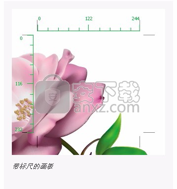 illustrator2019(矢量图形设计工具)