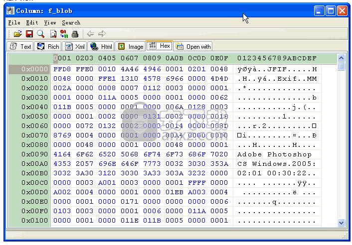 DB2LobEditor(db2数据库编辑工具)