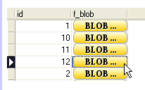 DB2LobEditor(db2数据库编辑工具)