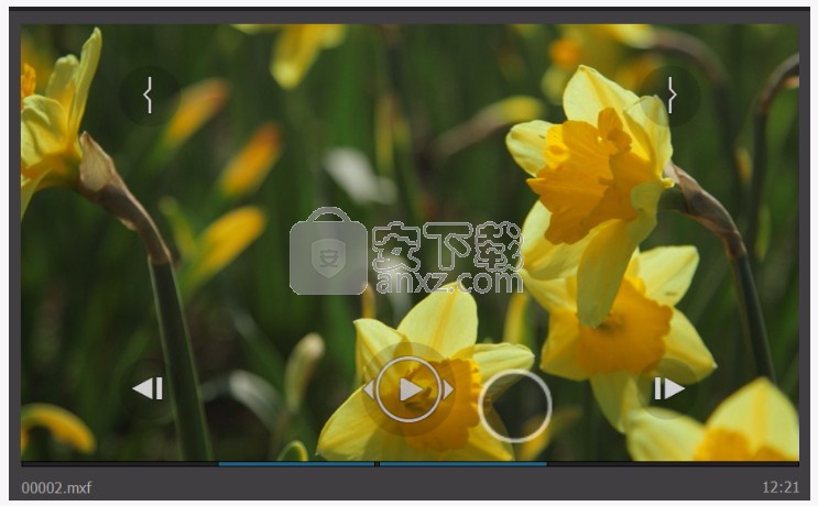 adobe premiere pro 2020