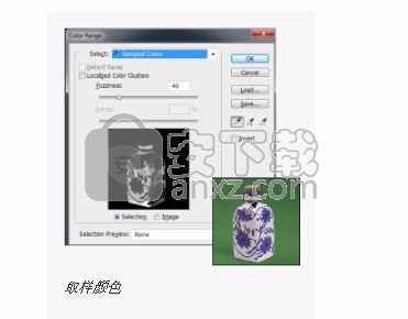 Photoshop Elements 2019绿色