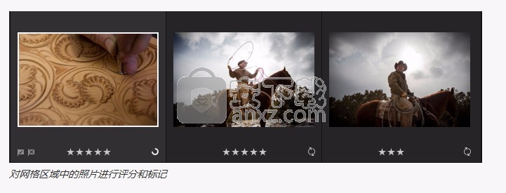 photoshop lightroom cc 2019中文