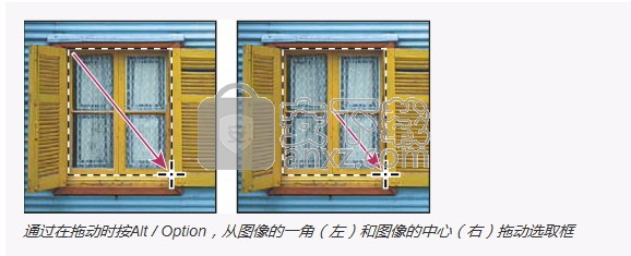 Photoshop Elements 2019绿色