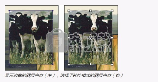photoshop cc2015(图像处理工具)