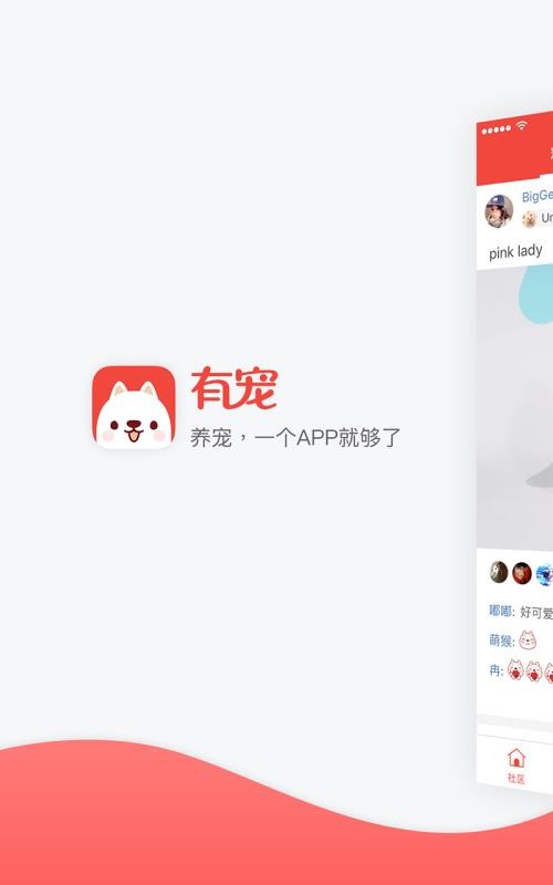 有宠