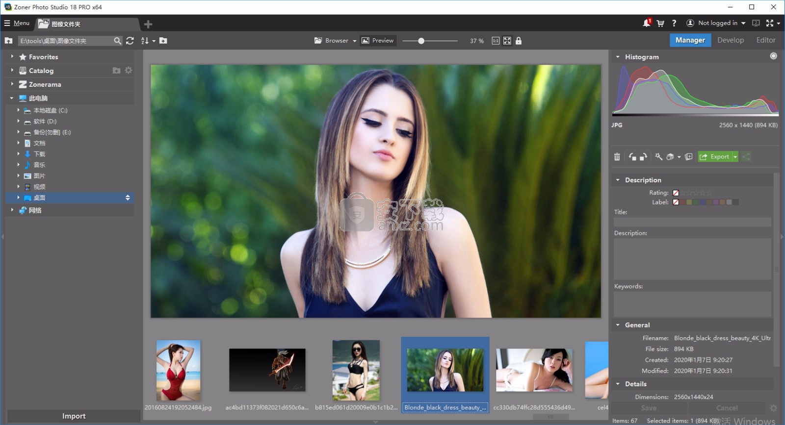 数码照片处理软件(Zoner Photo Studio Pro)