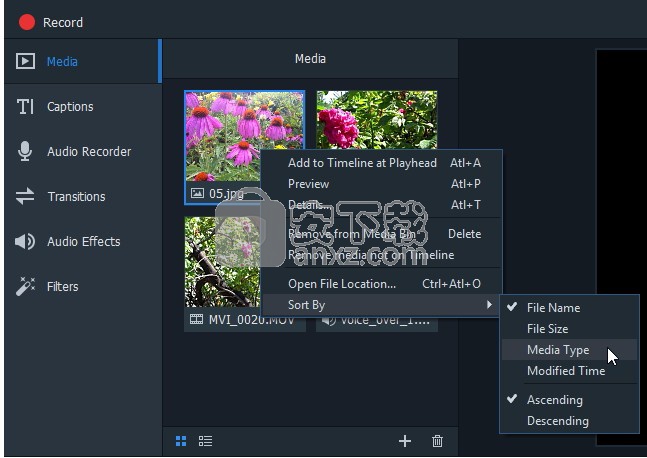 ACDSee Video Studio(飞鸟剪辑)