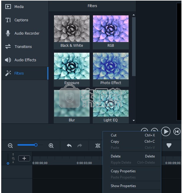 ACDSee Video Studio 3(ACDSee飞鸟简辑)