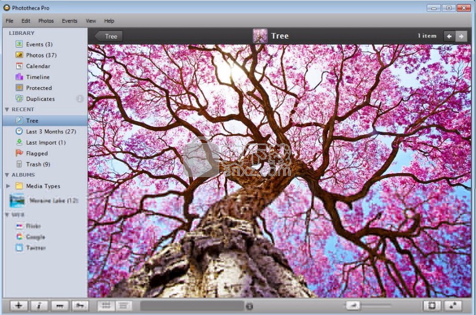 Phototheca Pro 2019(图片管理软件)