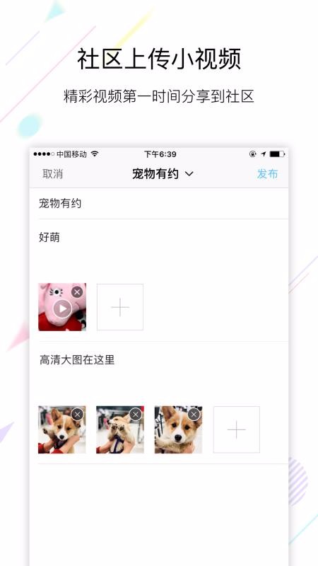 爱洛阳网